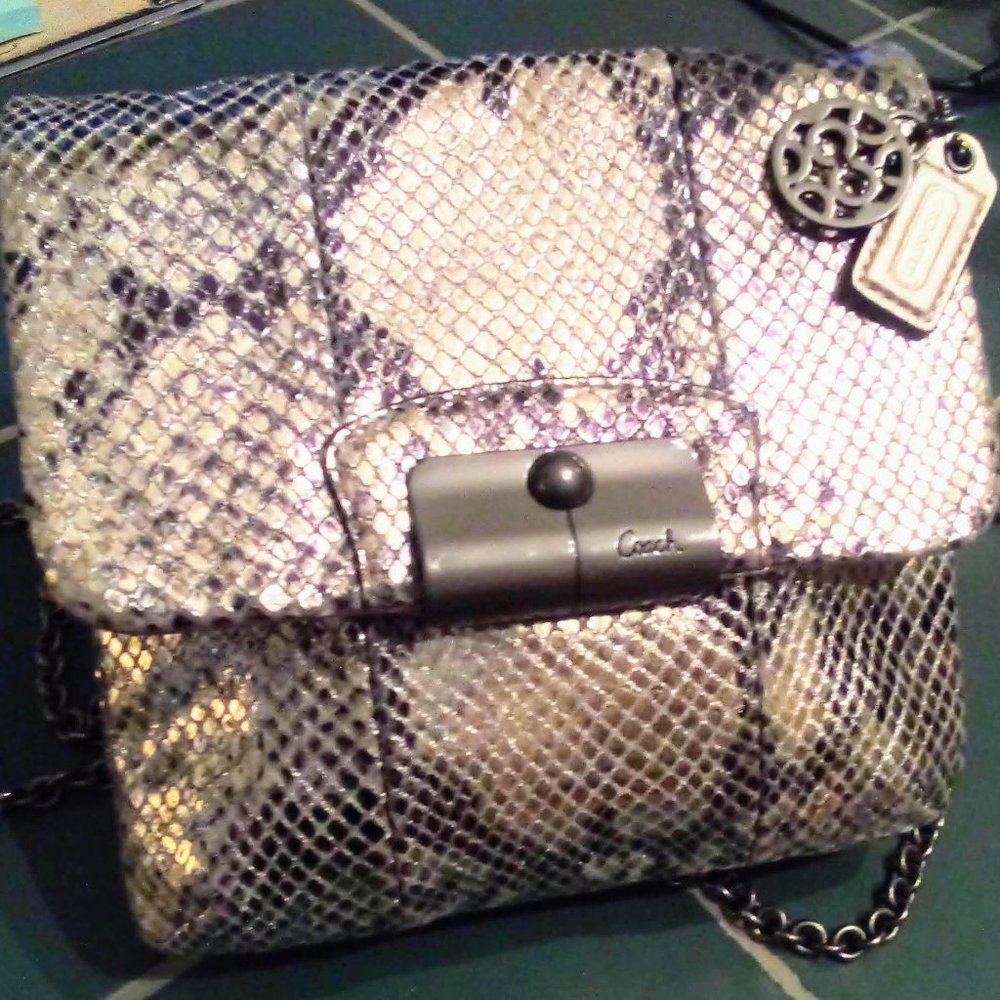 Coach Python Crossbody Kristen Silver